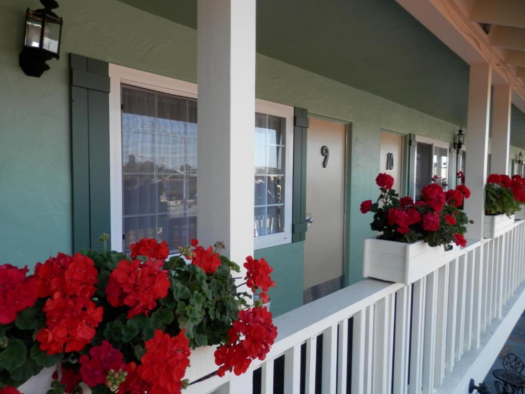 Villa Franca Inn Monterey Esterno foto